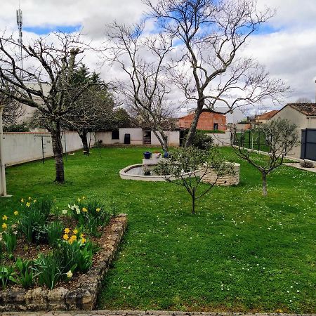Maison Plain Pied Avec Jardin, Terrasse Et Veranda Cognac Bagian luar foto